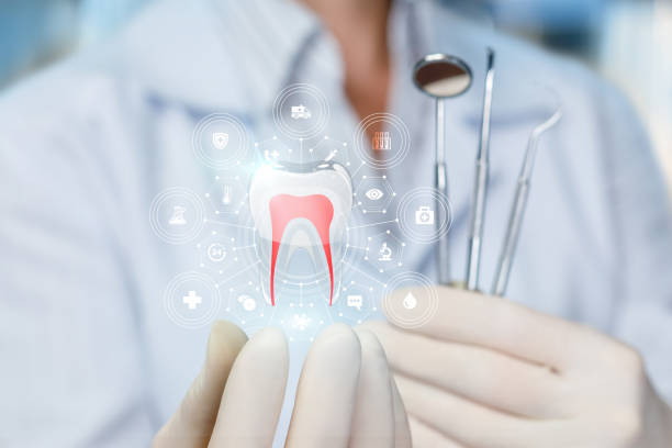 Best Pediatric Dentistry  in Lake Junaluska, NC
